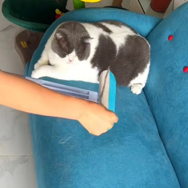 4-in-1 Reusable Pet Hair Remover – Remove Fur from Sofa, Carpet & Clothes in Seconds